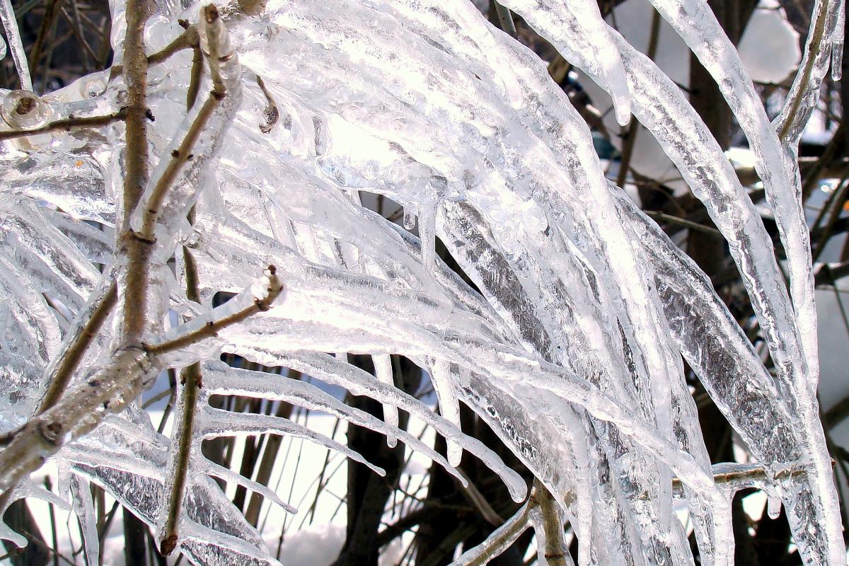 Погода портится: какие области Украины ждет снег и мороз Погода портится: какие области Украины ждет снег и мороз