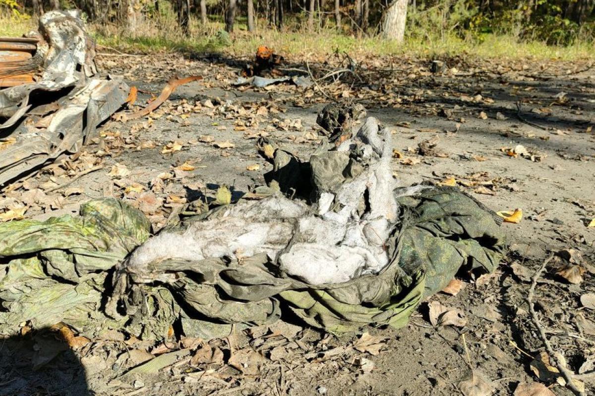 "Роти вже немає, але нікому не кажи": на Луганщині окупанти масово тікають з позицій, - перехоплення ГУР "Роти вже немає, але нікому не кажи": на Луганщині окупанти масово тікають з позицій, - перехоплення ГУР