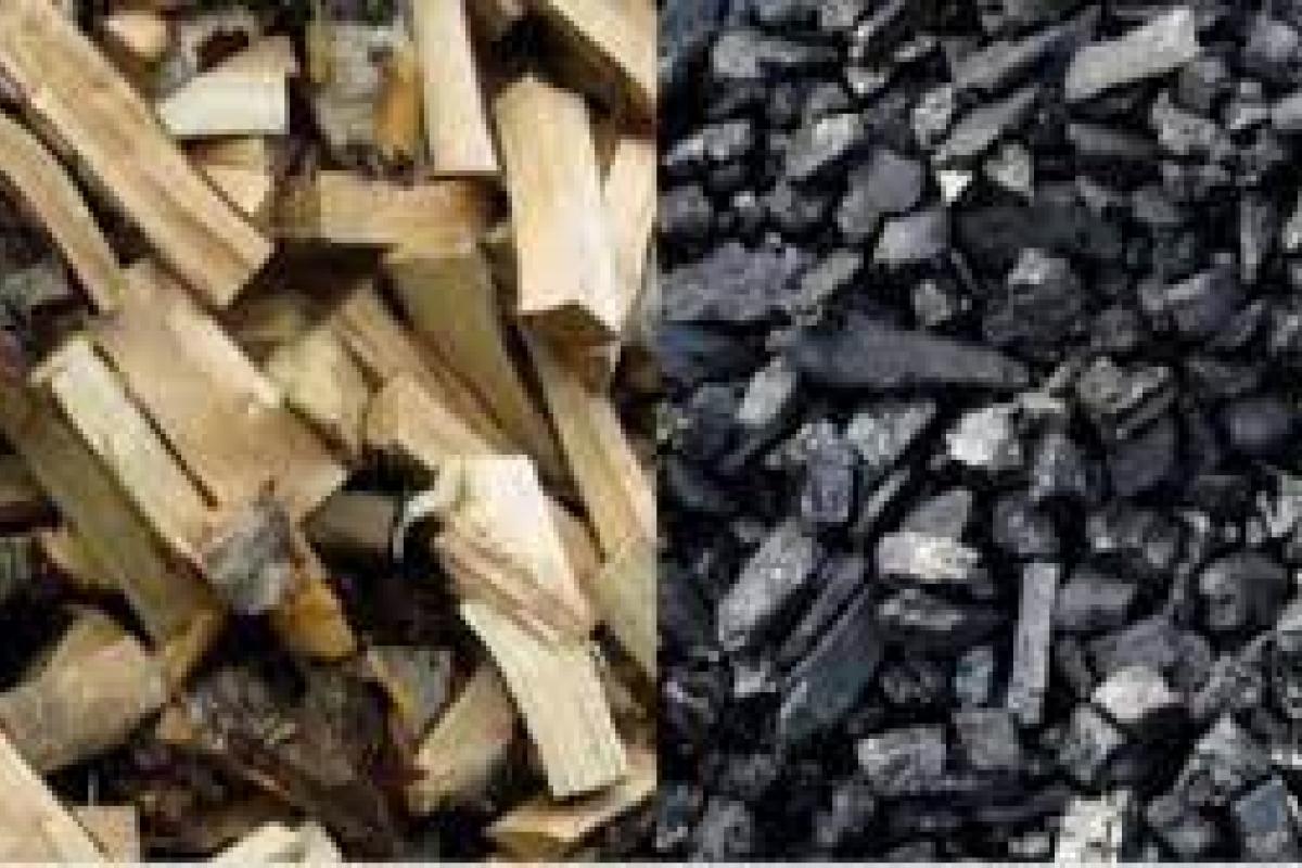 На пол зимы хватит: "Администрация" Лисичанска "решила" проблему с отоплением На пол зимы хватит: "Администрация" Лисичанска "решила" проблему с отоплением