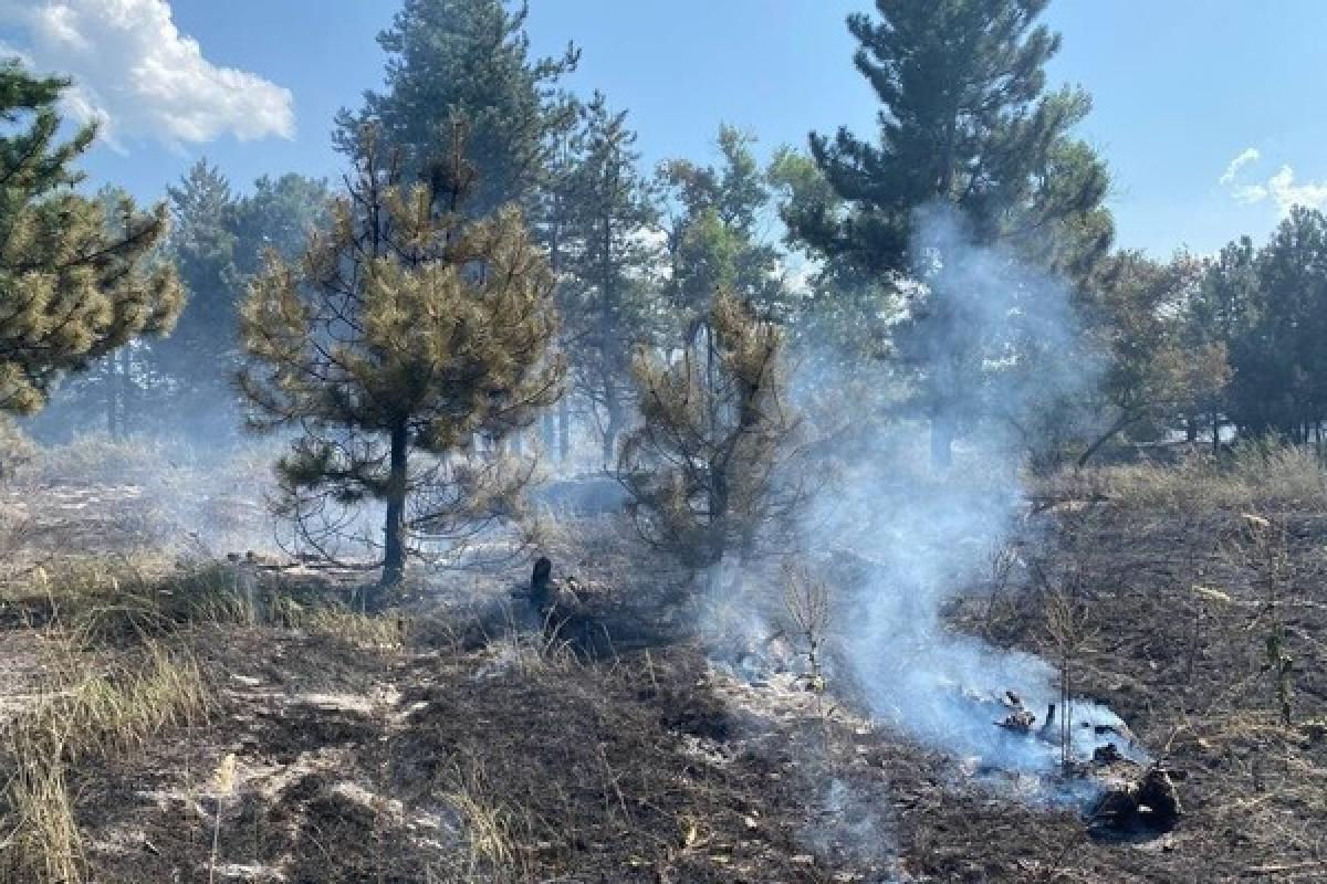 Розбиті будинки, згорілі ліси та заправка "Рибка": у мережі показали, як сьогодні виглядає район Кремінної Розбиті будинки, згорілі ліси та заправка "Рибка": у мережі показали, як сьогодні виглядає район Кремінної