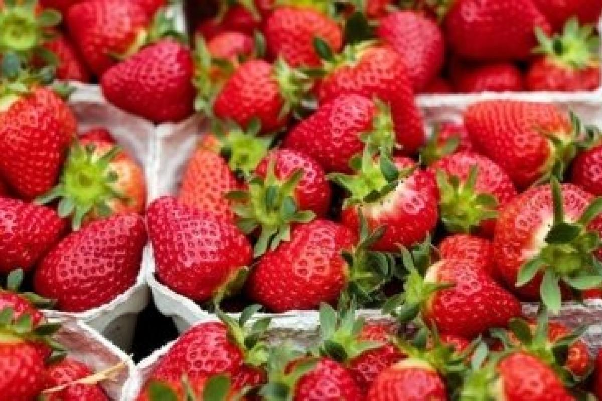 Полуниця - 160, черешня - 500 рублів: у мережі показали ціни на продукти у Сєвєродонецьку Полуниця - 160, черешня - 500 рублів: у мережі показали ціни на продукти у Сєвєродонецьку