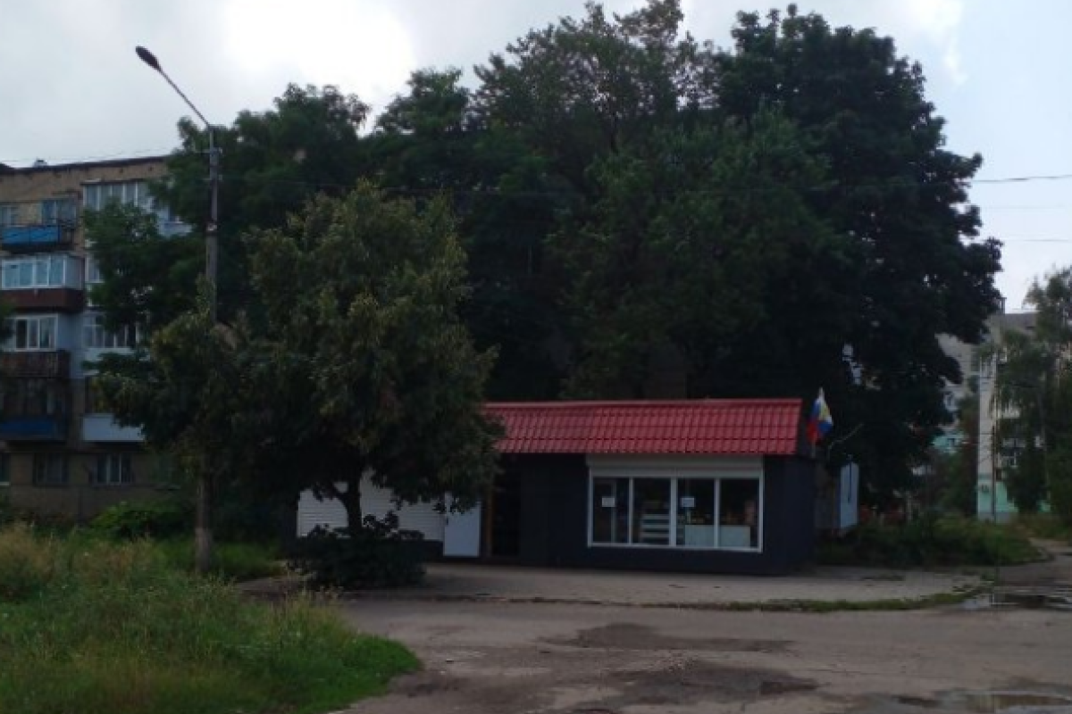 "Бур'яни та ями по коліно": У мережі показали, як зараз виглядає окупований Лисичанськ