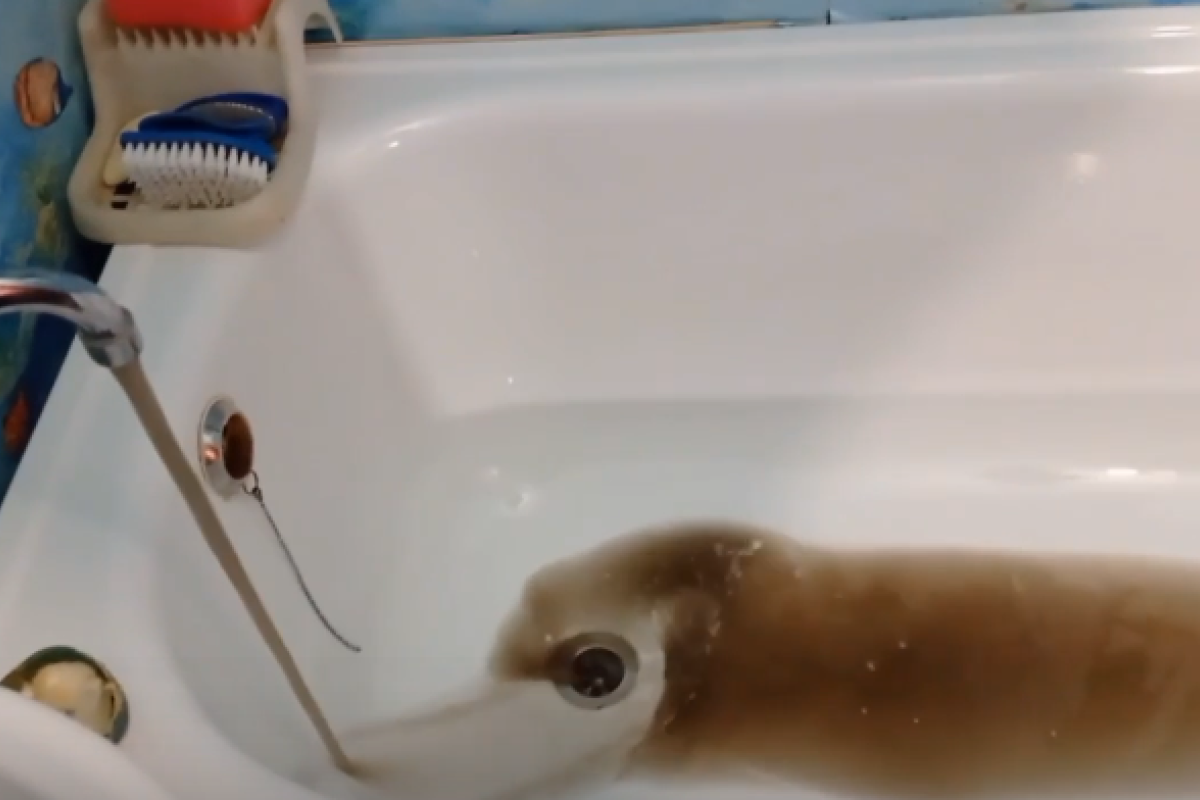 "Платимо за муляку": У мережі показали, яка вода тече з-під крана окупованого Антрациту - відео