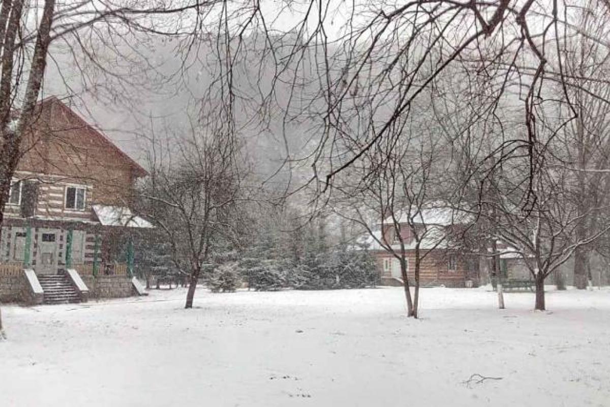 Переселенці з Луганщини можуть оздоровити дітей на Прикарпатті: куди звертатися Переселенці з Луганщини можуть оздоровити дітей на Прикарпатті: куди звертатися