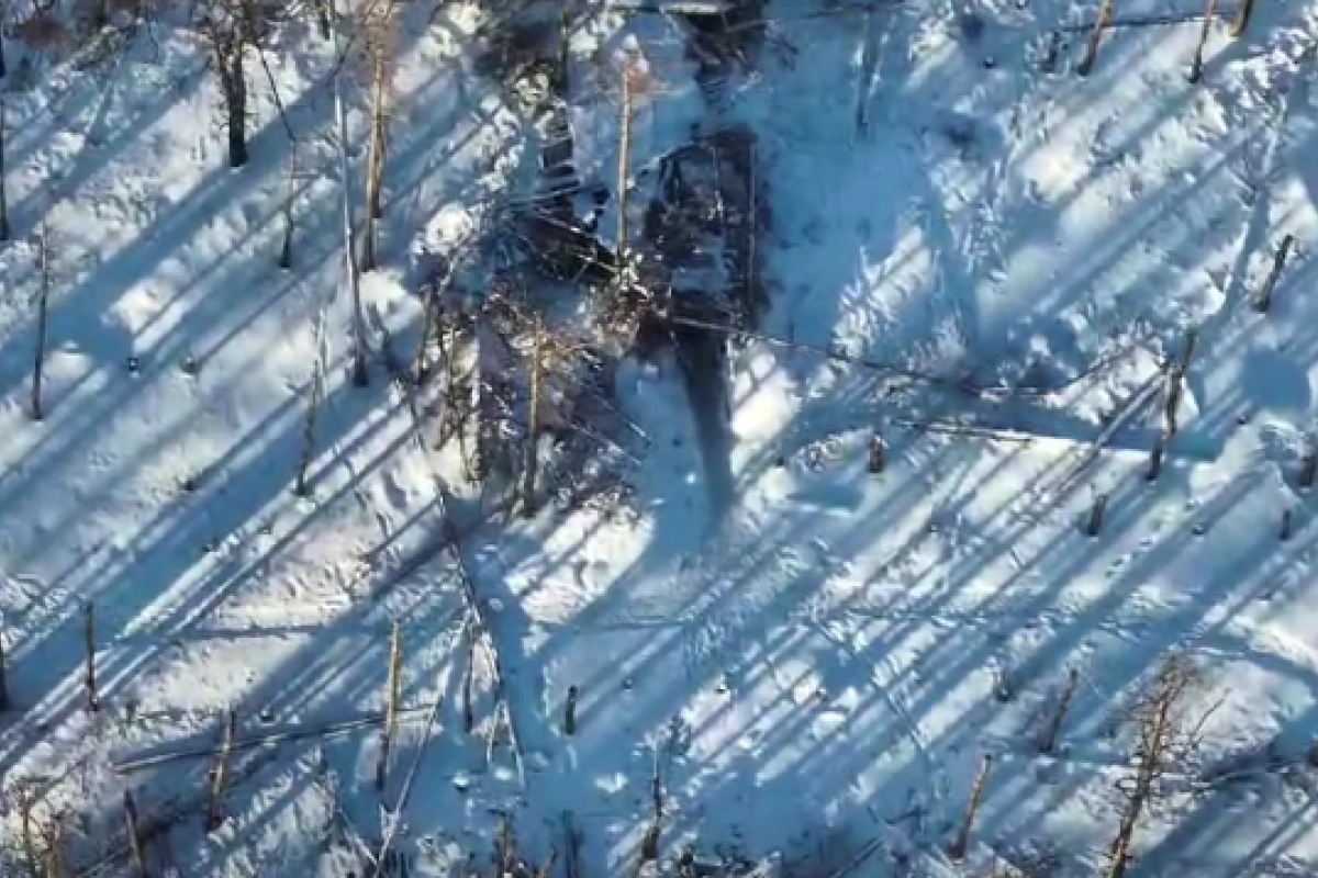 Українські військові показали, як знищують бліндажі окупантів на Луганщині - відео