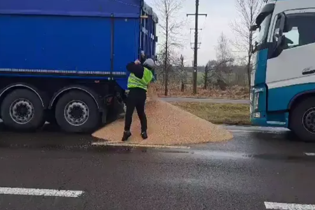 "Виновные должны ответить": В Минагрополитики отреагировали на ситуацию с уничтожением зерна на границе с Польшей "Виновные должны ответить": В Минагрополитики отреагировали на ситуацию с уничтожением зерна на границе с Польшей