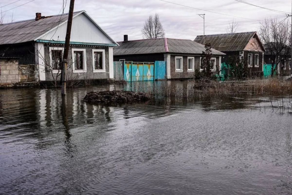 Вода выше колен: на Луганщине оккупанты эвакуируют жителей поселка Белое из-за подтопления - фото