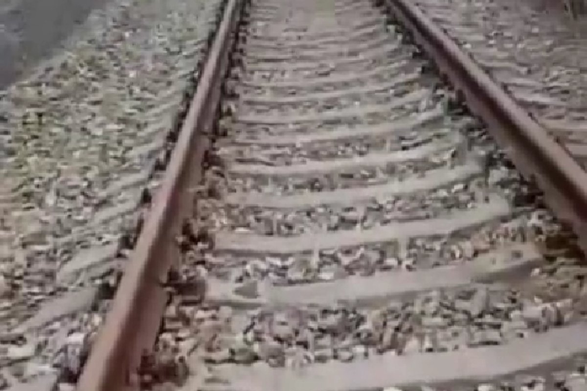Зручно пересуватися нею пішки: у мережі показали на відео стан залізниці у Лисичанську Зручно пересуватися нею пішки: у мережі показали на відео стан залізниці у Лисичанську