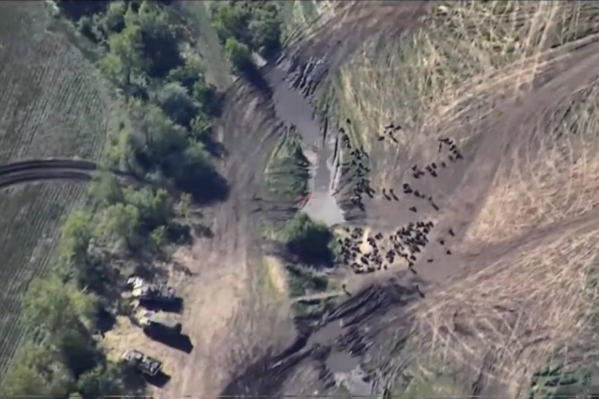 ВСУ показали на видео поражение полигона российских оккупантов на Луганщине ВСУ показали на видео поражение полигона российских оккупантов на Луганщине