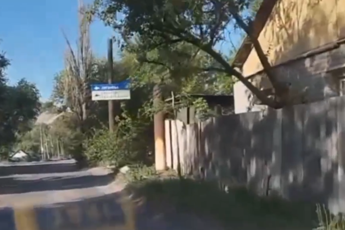 Все заросло так, що й огорож не видно: у мережі показали свіжі кадри з окупованого Лисичанська