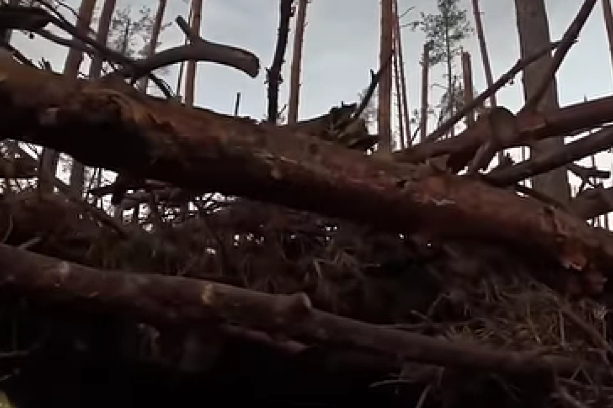 Бої під Кремінною: Бійці показали відео захоплення та зачистки позицій ворога на Луганщині Бої під Кремінною: Бійці показали відео захоплення та зачистки позицій ворога на Луганщині
