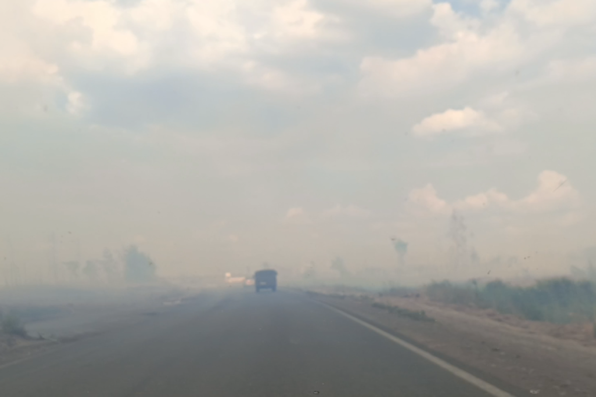 Під Сєвєродонецьком вирують лісові пожежі: у мережі показали на відео задимлену дорогу на Смолянинове Під Сєвєродонецьком вирують лісові пожежі: у мережі показали на відео задимлену дорогу на Смолянинове