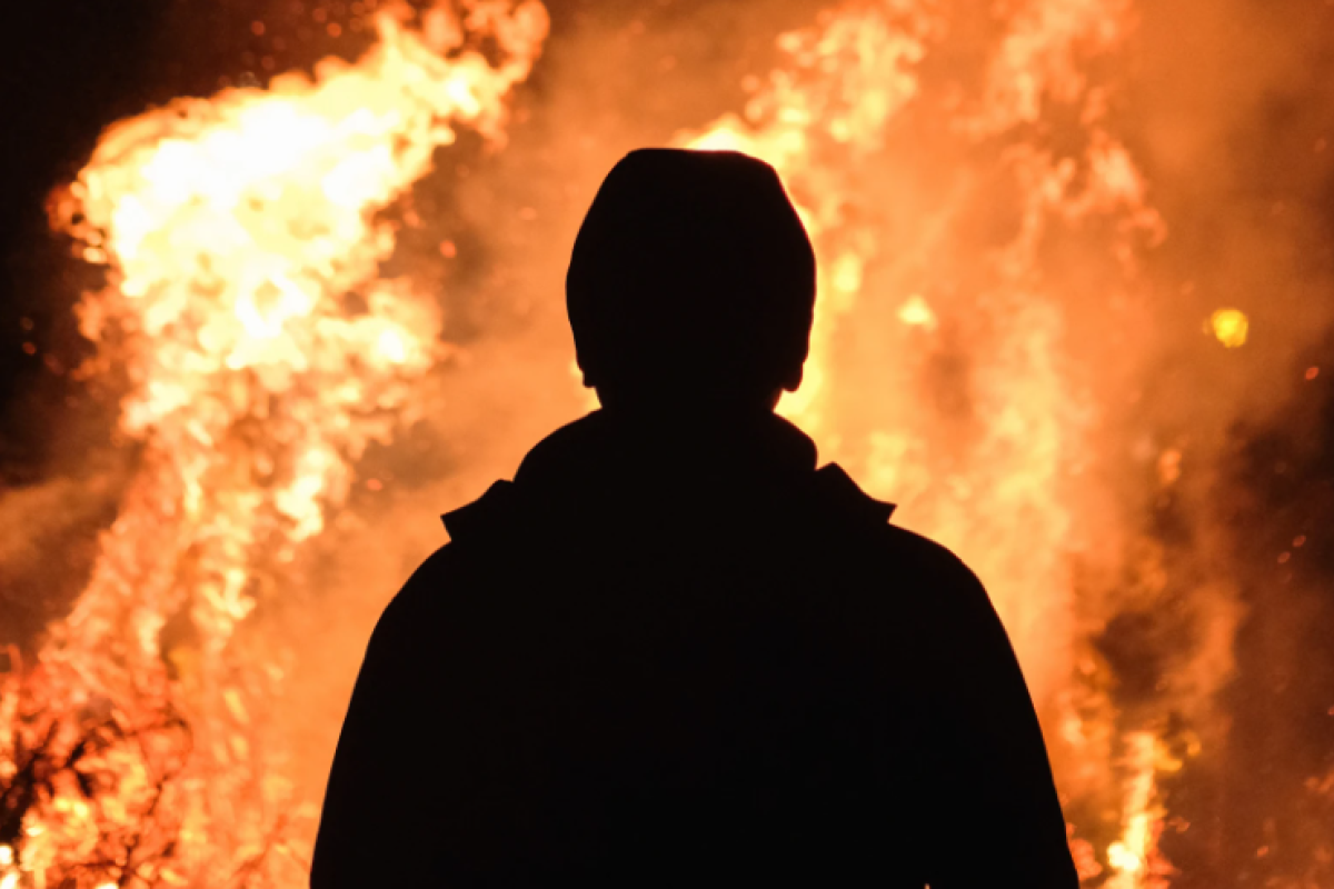 Масштабный лесной пожар охватил Харьковскую и Донецкую области: эвакуировали более 200 жителей