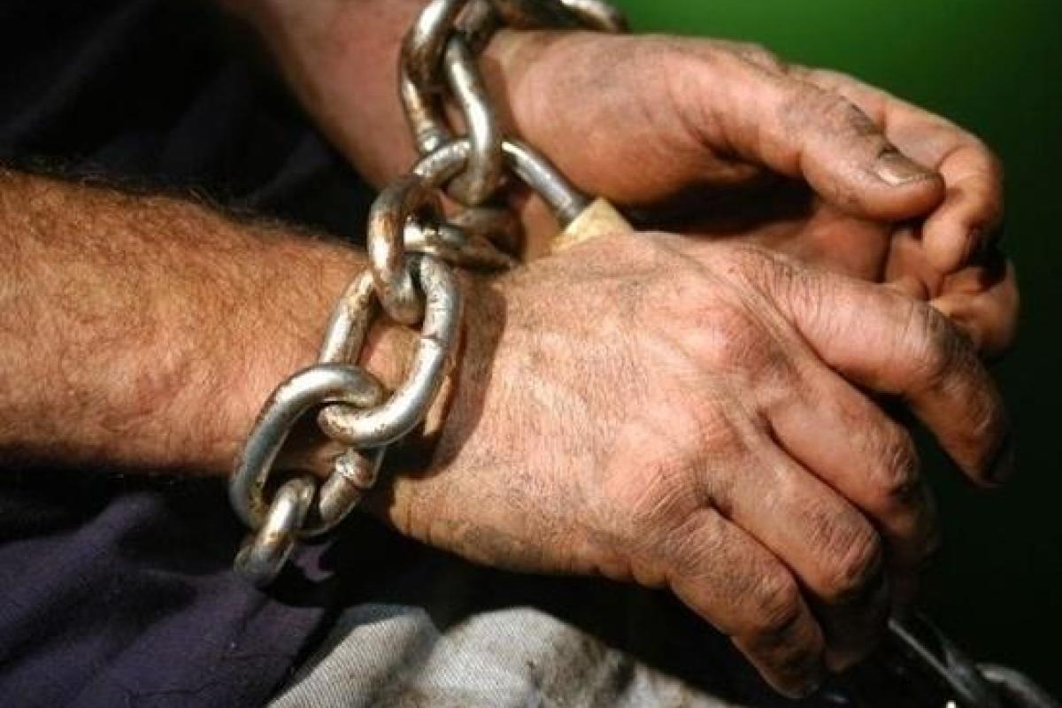 В Одесской области 80 человек удерживались в рабстве: подробности В Одесской области 80 человек удерживались в рабстве: подробности