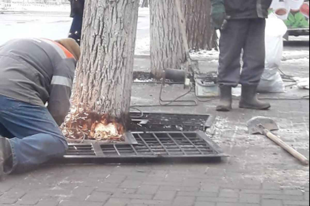"Нужно за такое бить": в Северодонецке проводят "убийственное" облагораживание города