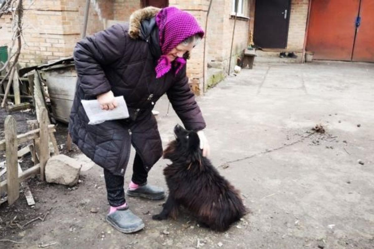 В Кабмине разобрались с платежами женщины, которой советовали продать собаку В Кабмине разобрались с платежами женщины, которой советовали продать собаку