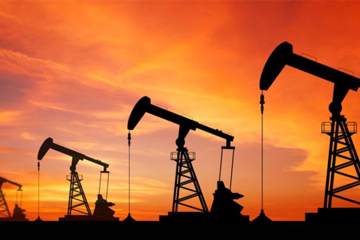 Обвал цен на нефть прекратился: наблюдается положительная динамика Обвал цен на нефть прекратился: наблюдается положительная динамика