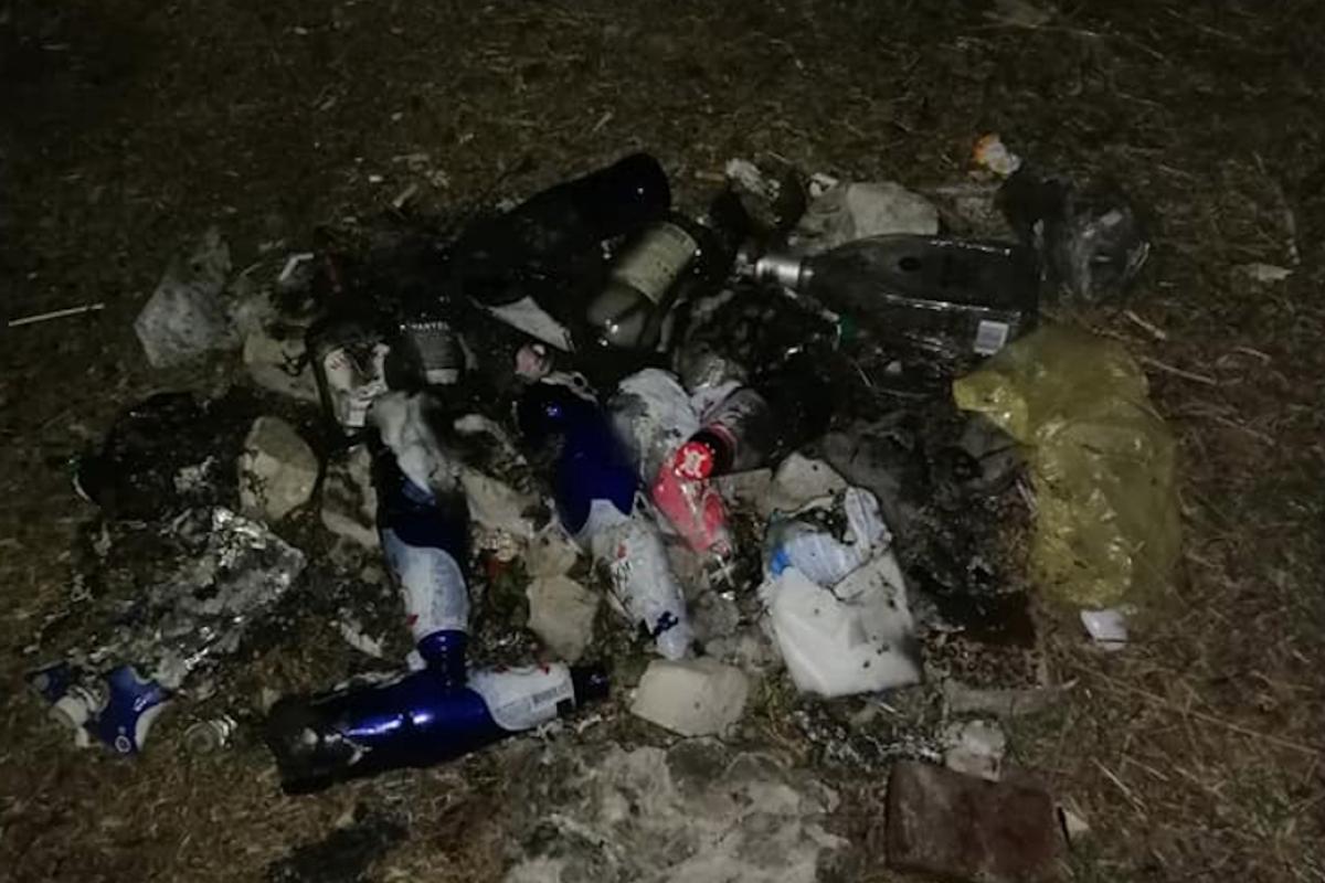 "Самый страшный вирус - люди": в Северодонецке показали чудеса "самоизоляции" "Самый страшный вирус - люди": в Северодонецке показали чудеса "самоизоляции"