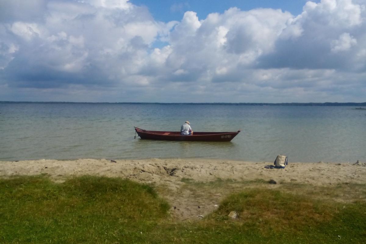 Вместо воды - песок: наибольшее озеро Украины стремительно исчезает (фото) Вместо воды - песок: наибольшее озеро Украины стремительно исчезает (фото)