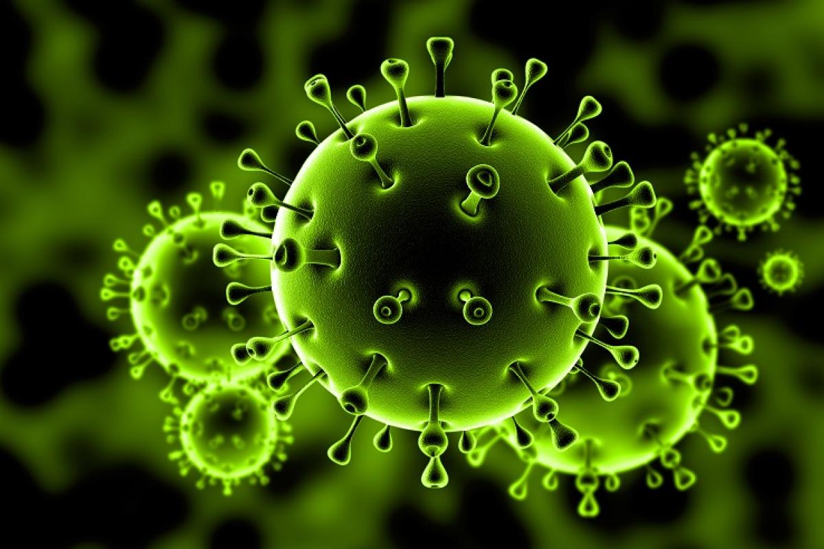 COVID-19 в Луганской области: выздоровел еще один пациент COVID-19 в Луганской области: выздоровел еще один пациент