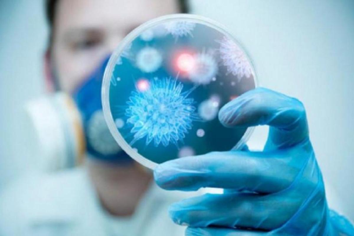 COVID-19 в Украине: обновленная статистика по областям (карта) COVID-19 в Украине: обновленная статистика по областям (карта)