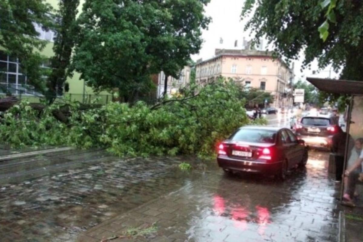 Во Львове бушевала стихия: сильный ветер, гроза и град нанесли ущерб (фото) Во Львове бушевала стихия: сильный ветер, гроза и град нанесли ущерб (фото)