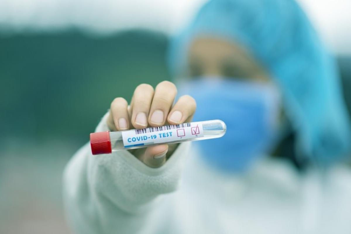 COVID-19 в Луганской области: новых случаев заражения не выявлено COVID-19 в Луганской области: новых случаев заражения не выявлено