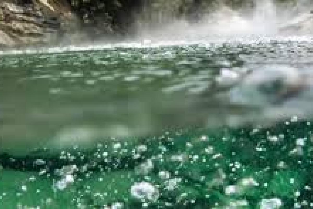 В джунглях Амазонии обнаружили реку, вода в которой постоянно кипит В джунглях Амазонии обнаружили реку, вода в которой постоянно кипит