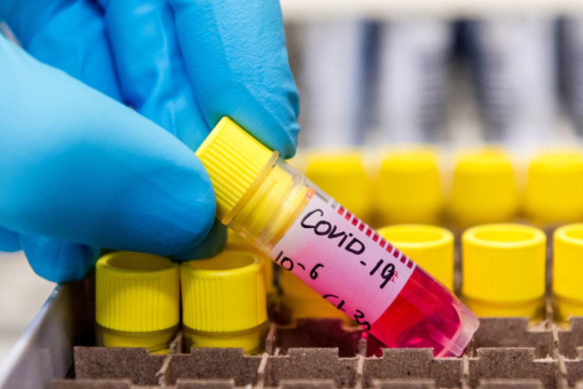 В Северодонецке COVID-19 заразился ребенок, общее число инфицированных в области "перевалило" за 100 В Северодонецке COVID-19 заразился ребенок, общее число инфицированных в области "перевалило" за 100