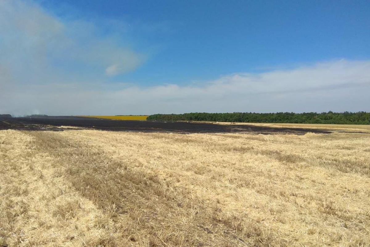 На Луганщині зайнялась пожежа на на полі з пшеницею: подробиці На Луганщині зайнялась пожежа на на полі з пшеницею: подробиці