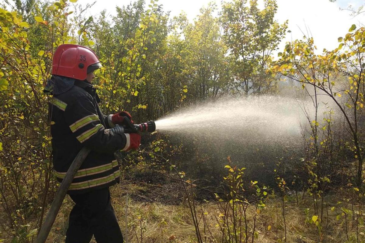 Біля Сєвєродонецьку палає пожежа: можуть обмежити рух (фото) Біля Сєвєродонецьку палає пожежа: можуть обмежити рух (фото)