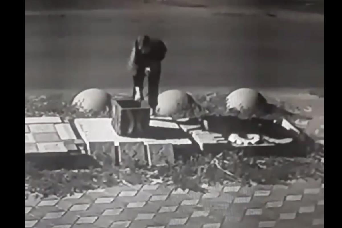 В Лисичанске на видео попала юная "принцесса", которая пыталась украсть 40-килограммовую урну В Лисичанске на видео попала юная "принцесса", которая пыталась украсть 40-килограммовую урну