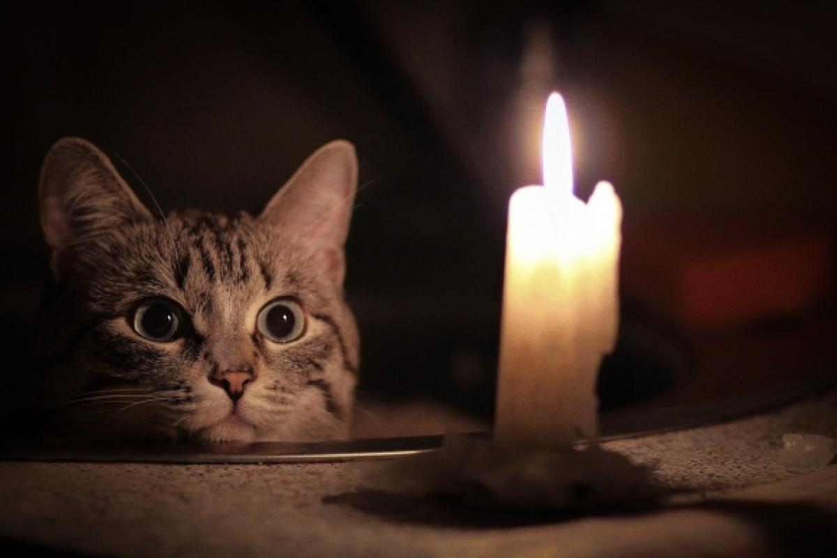 В Лисичанске в сентябре будут отключать свет: названы даты и улицы В Лисичанске в сентябре будут отключать свет: названы даты и улицы