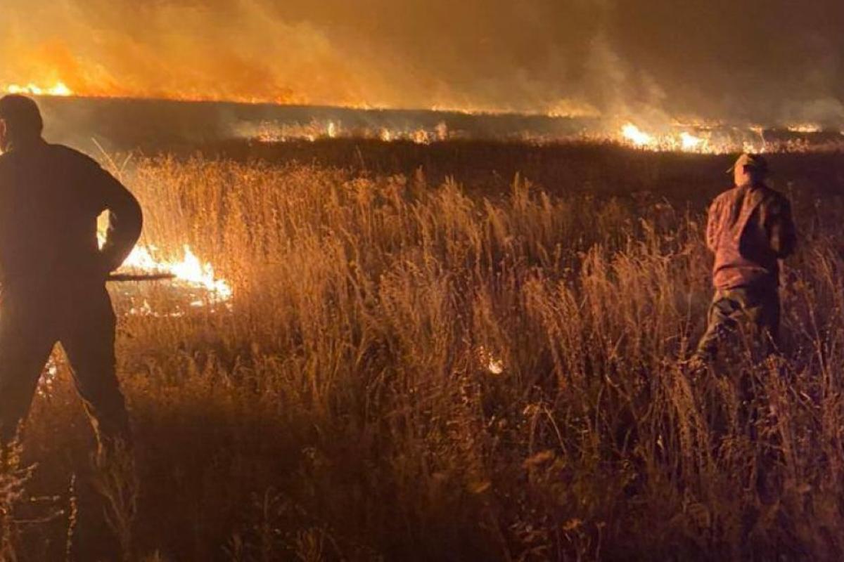 На сході України оголошено надзвичайний рівень пожежної небезпеки: що не можна робити
