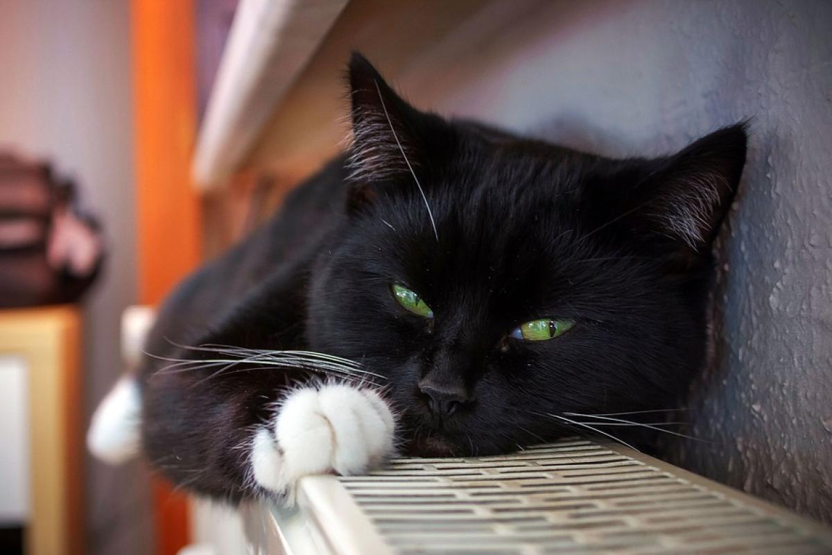 Опалювальний сезон у Лисичанську: коли в квартирах з'явиться тепло