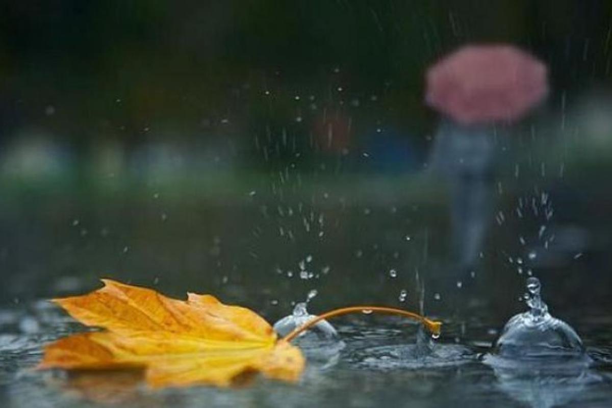 Время готовить зонтики: на Луганщине начинается сезон дождей