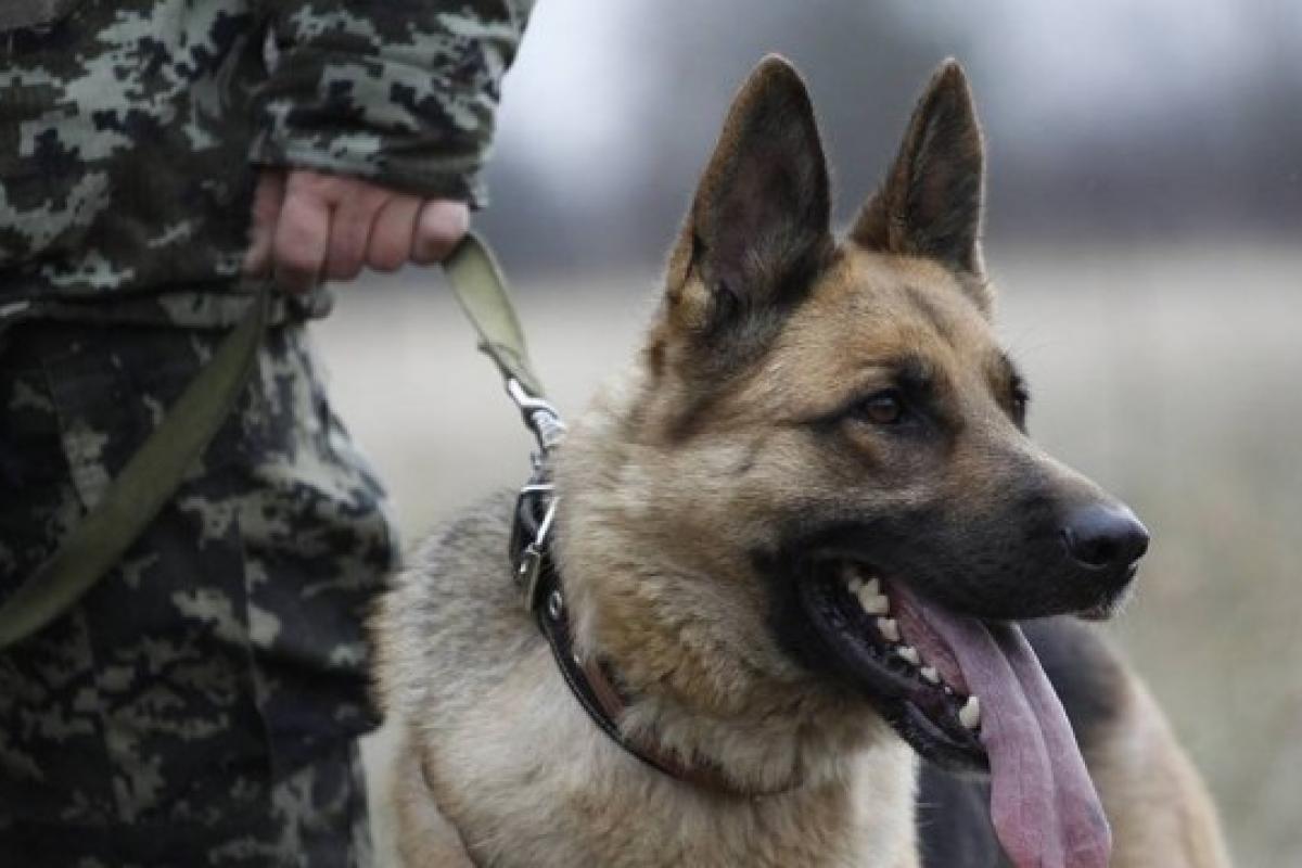 На Луганщині встановили нові режимні обмеження: що заборонено