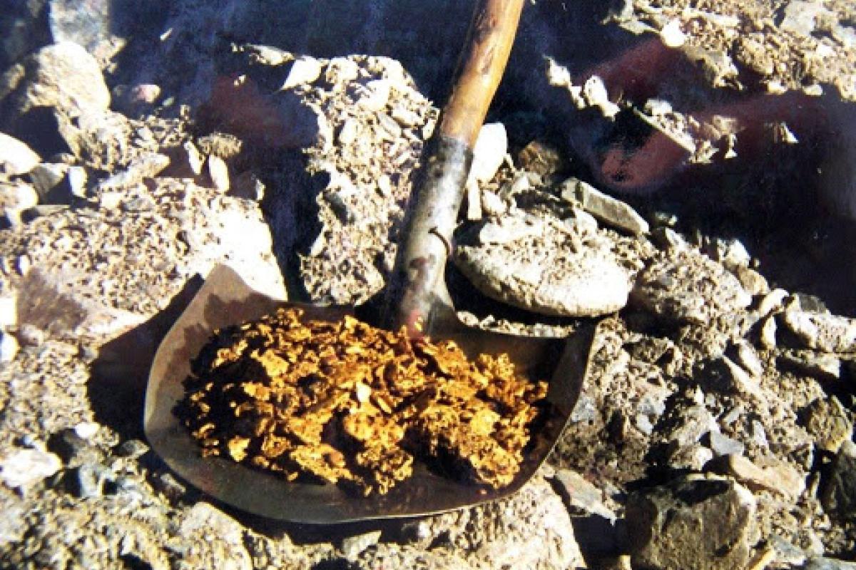 Єдине золотодобувне підприємство України відновлює роботу