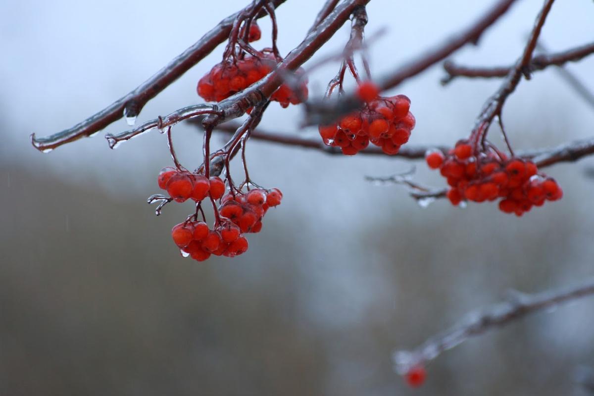 Синоптик розповіла, як зміниться погода в Україні до кінця тижня Синоптик розповіла, як зміниться погода в Україні до кінця тижня