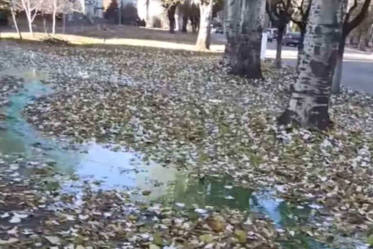 В Лисичанске появилась новая "достопримечательность": на что обратить внимание (видео) В Лисичанске появилась новая "достопримечательность": на что обратить внимание (видео)