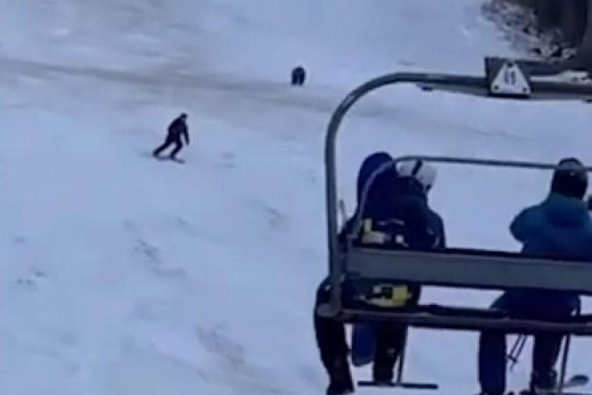 Лыжник показал чудеса скорости, спасаясь от погони разъяренного медведя (видео)