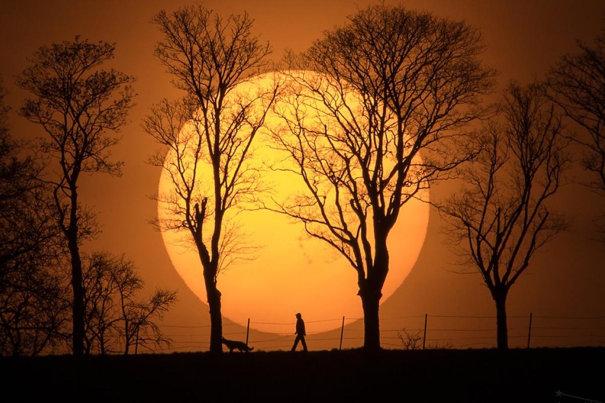 Магнитные бури в январе: когда ожидать самых мучительных дней Магнитные бури в январе: когда ожидать самых мучительных дней