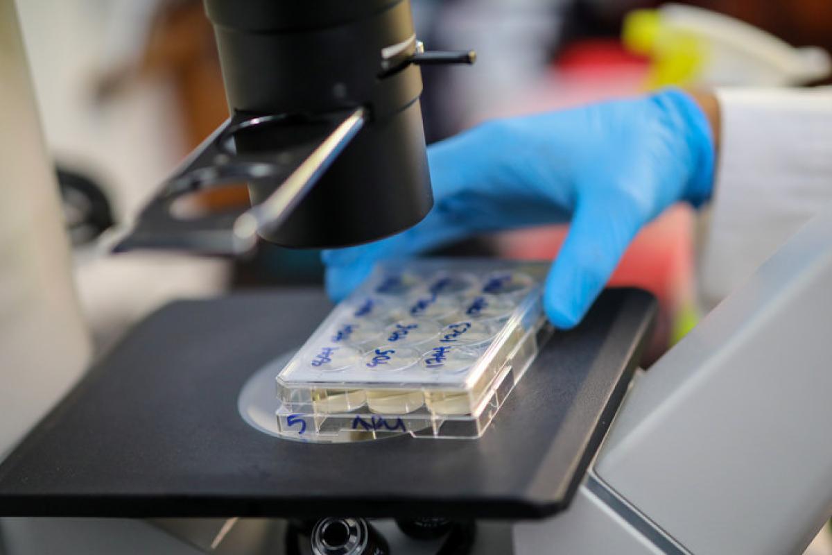 У Польщі вперше виявили "британський" штам COVID-19 У Польщі вперше виявили "британський" штам COVID-19