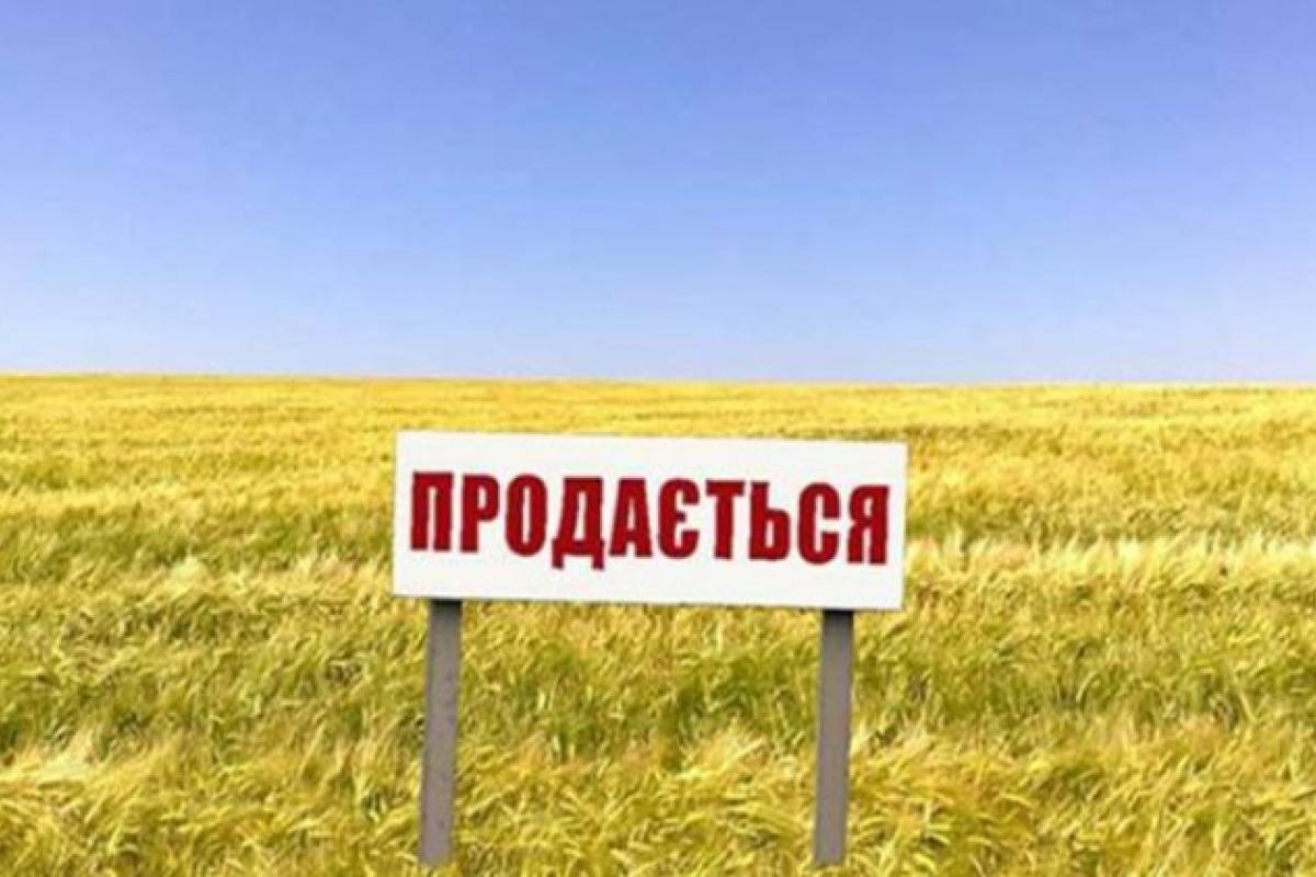 Міністр розповів, скільки коштуватиме гектар української землі після відкриття ринку Міністр розповів, скільки коштуватиме гектар української землі після відкриття ринку