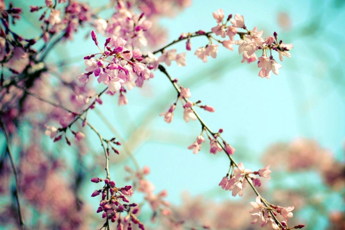 До +15 градусов: синоптик назвала регионы Украины, которые первыми ощутят потепление