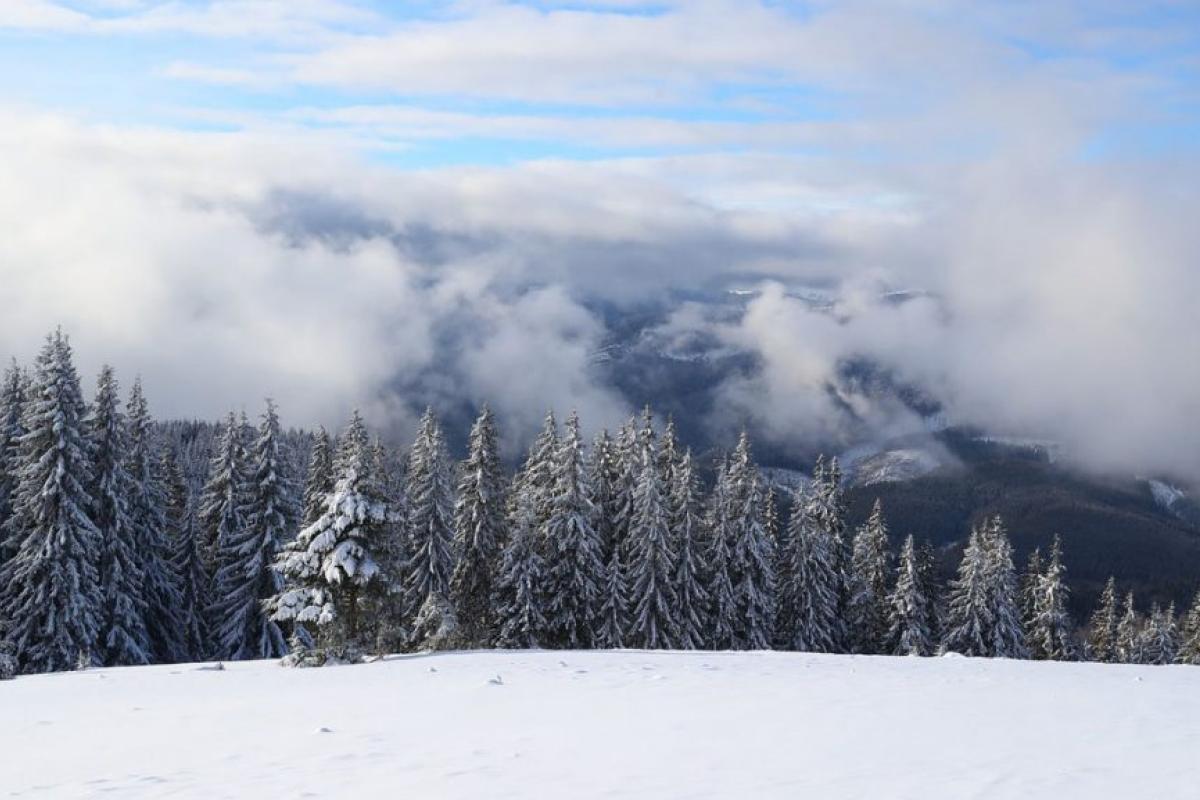В Карпатах - зима: ночью выпало до 20 см снега
