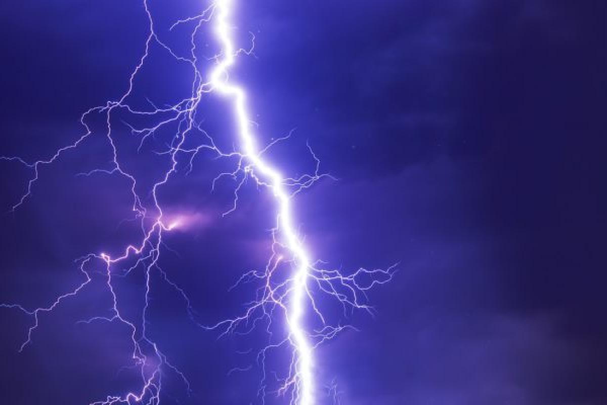 Убила молния: под Северодонецком найдены два трупа Убила молния: под Северодонецком найдены два трупа