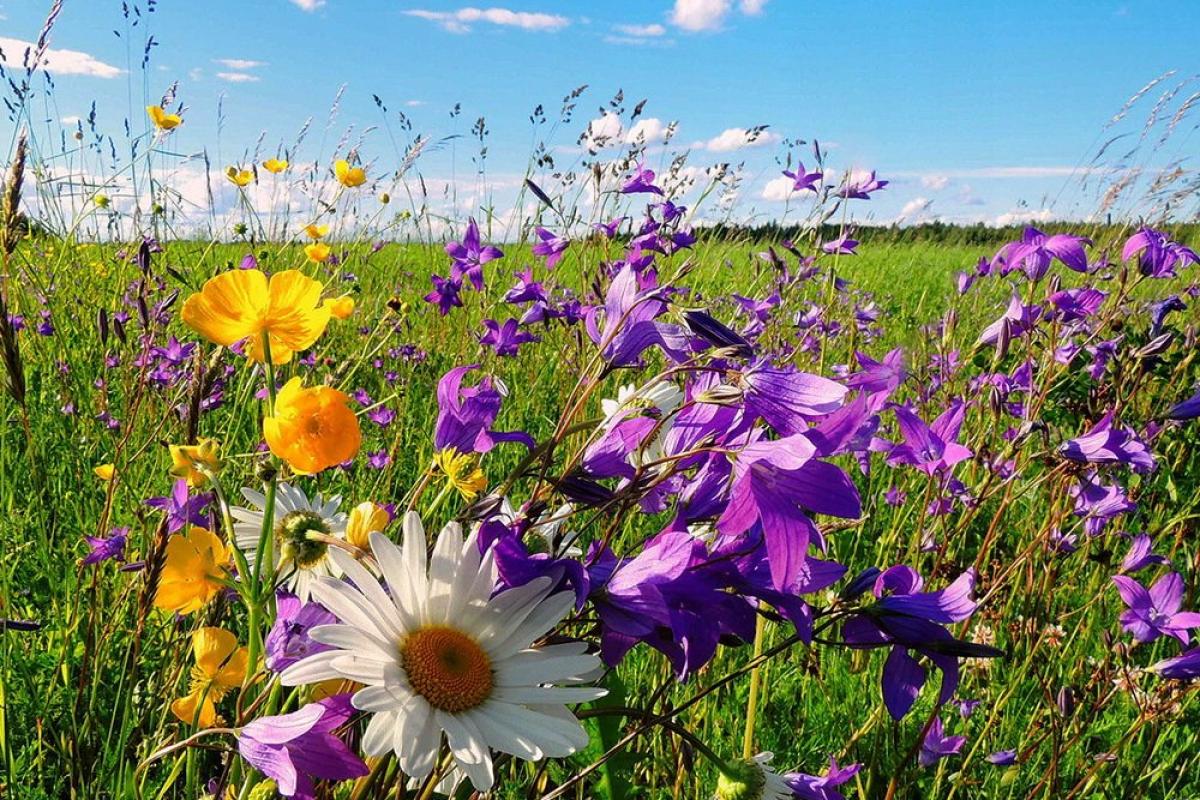 По-прежнему уже не будет: лето в этом году станет для украинцев настоящим испытанием По-прежнему уже не будет: лето в этом году станет для украинцев настоящим испытанием