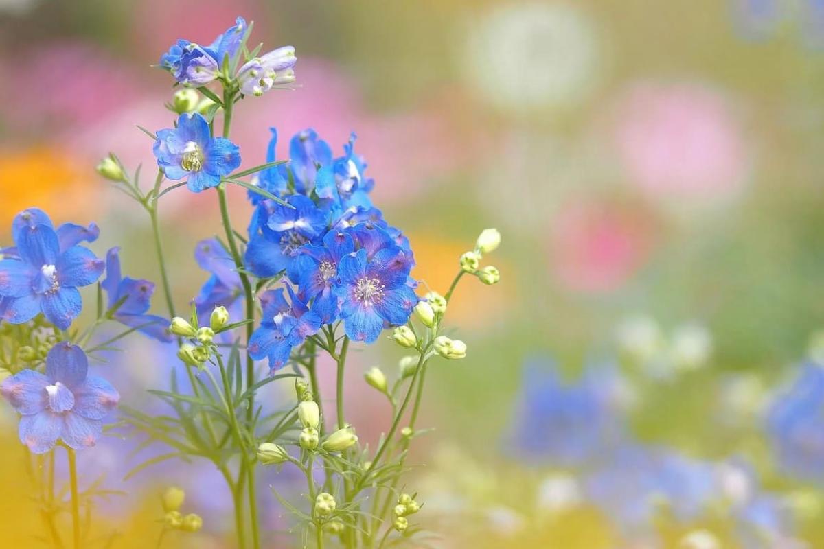 Сильная жара в Луганской области продержится несколько дней Сильная жара в Луганской области продержится несколько дней