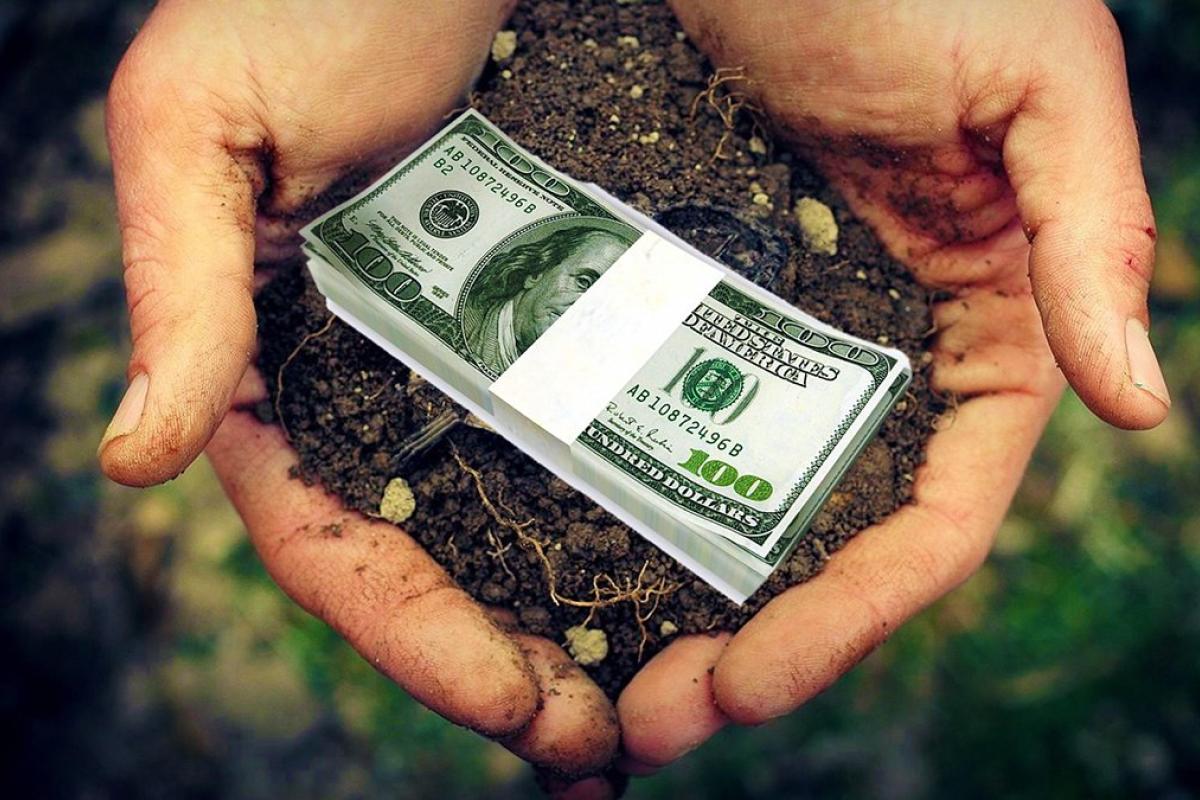 Стоит ли сейчас продавать свои гектары?: В Минагро дали прогноз по росту цены на землю в Украине Стоит ли сейчас продавать свои гектары?: В Минагро дали прогноз по росту цены на землю в Украине